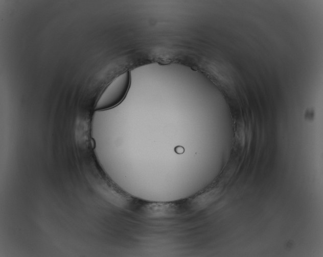 X0000092240526200710051241