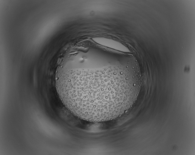 X0000092240527200710051241