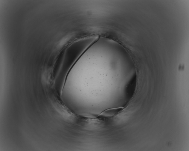 X0000092240528200710051241