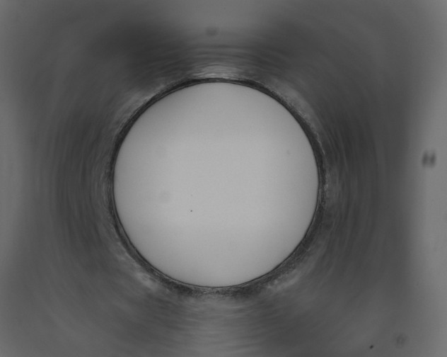 X0000092240529200710051240