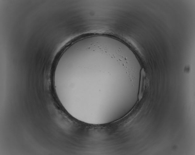 X0000092240532200710051240