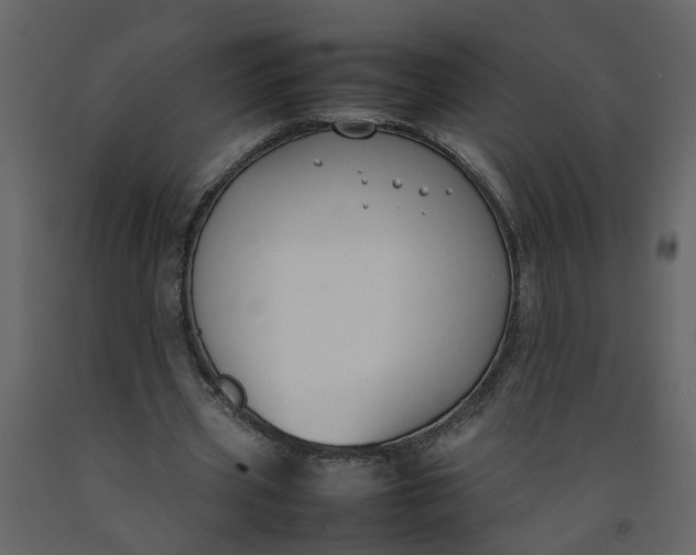 X0000092240533200710051240