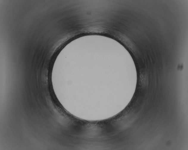 X0000092240534200710051240