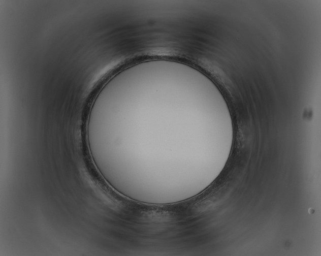 X0000092240535200710051240