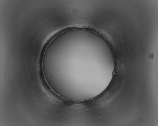 X0000092240536200710051240