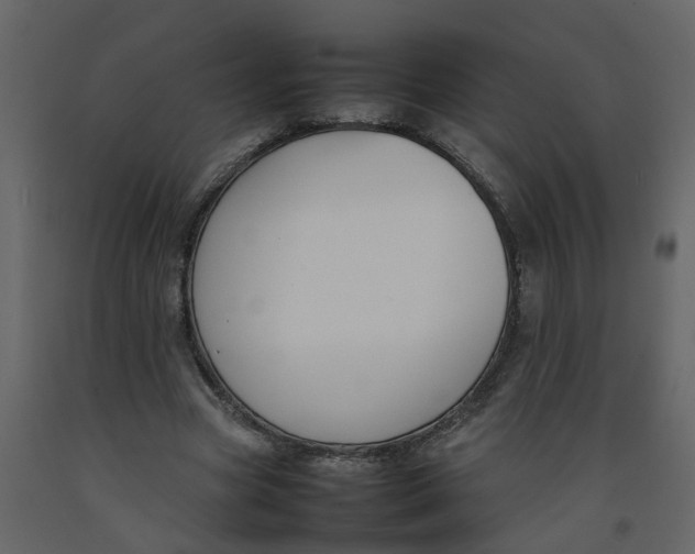 X0000092240537200710051240