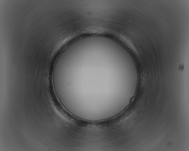 X0000092240538200710051241