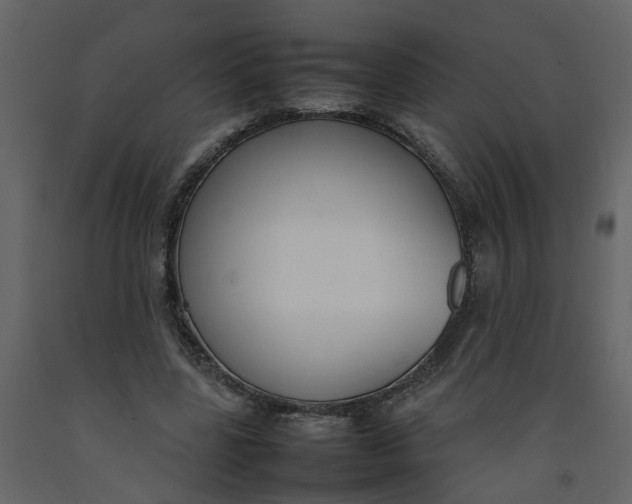 X0000092240539200710051241