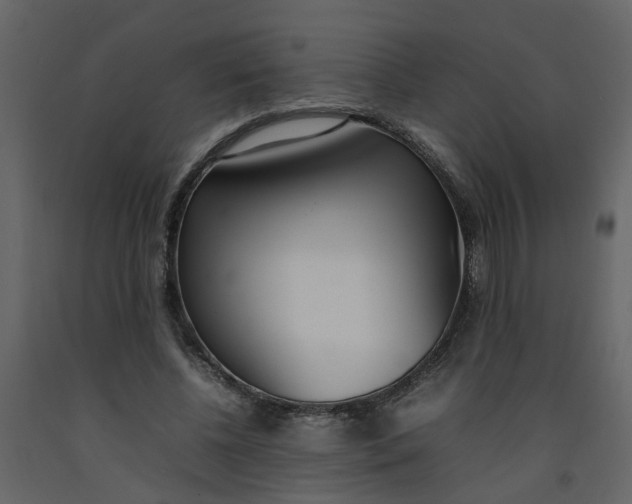 X0000092240540200710051241