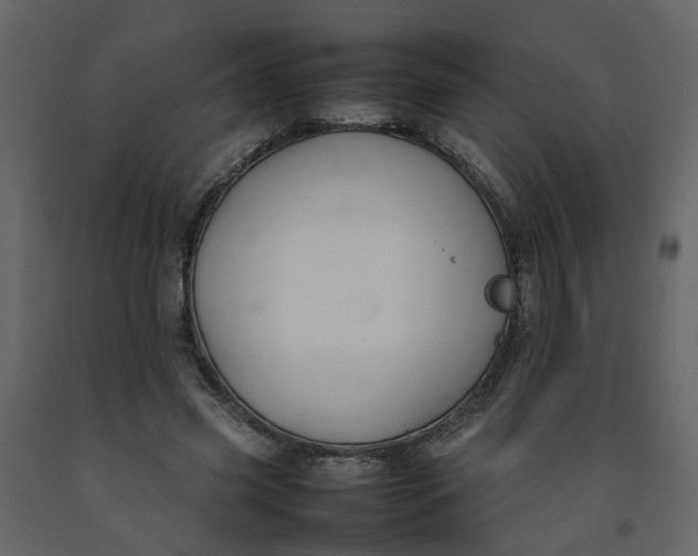 X0000092240541200710051241