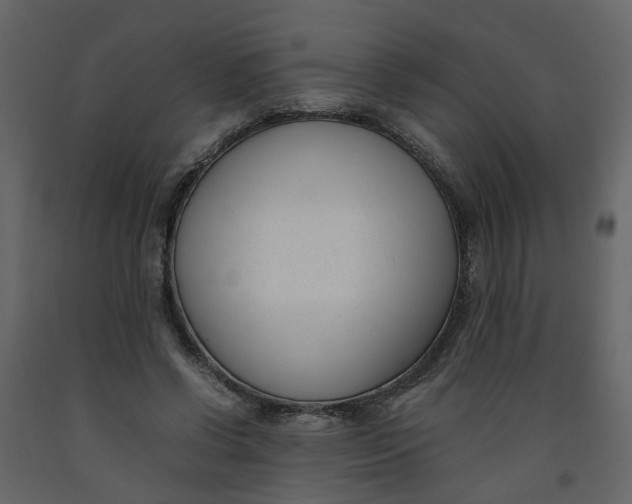 X0000092240542200710051241