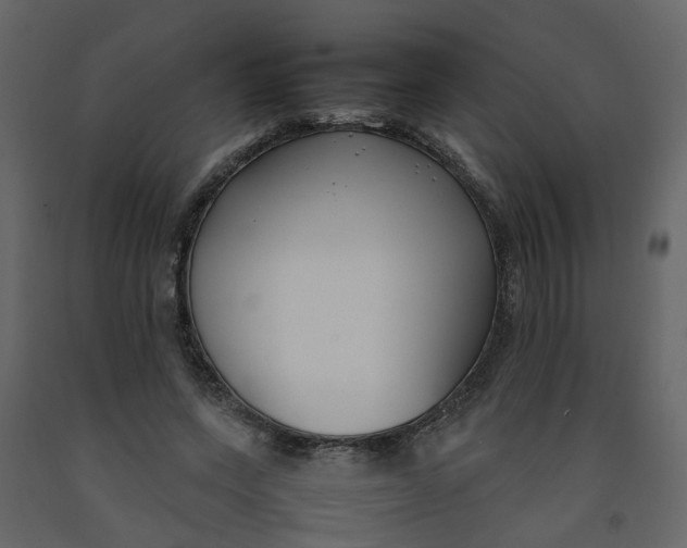 X0000092240543200710051241