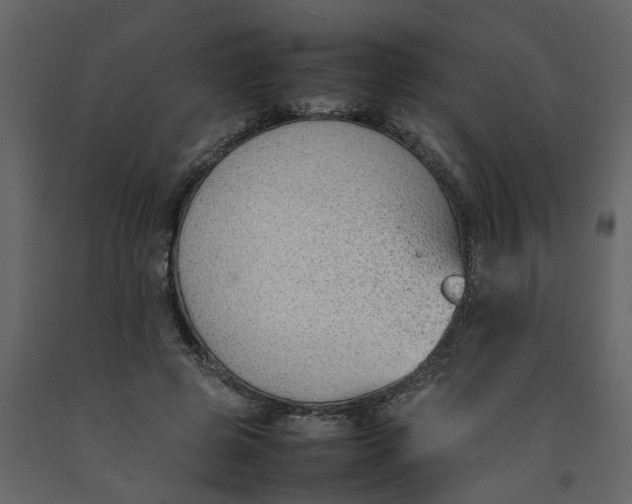 X0000092240545200710051241