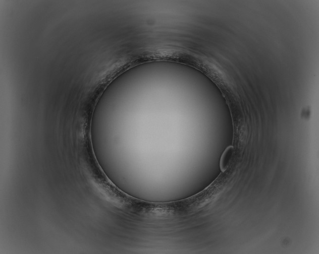 X0000092240546200710051241