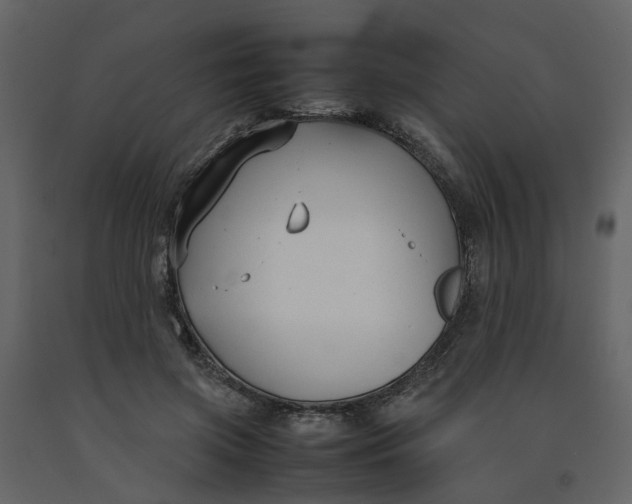 X0000092240549200710051241