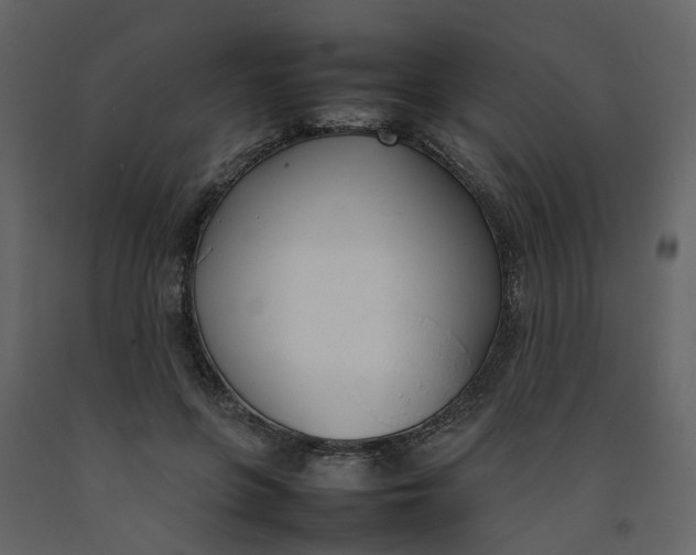 X0000092240551200710051241