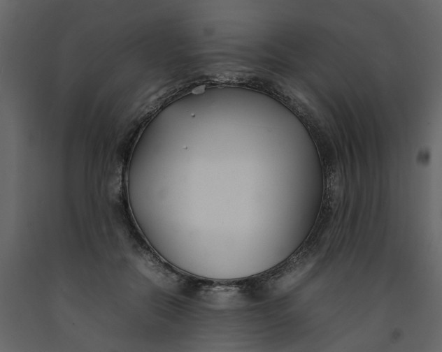 X0000092240554200710051241