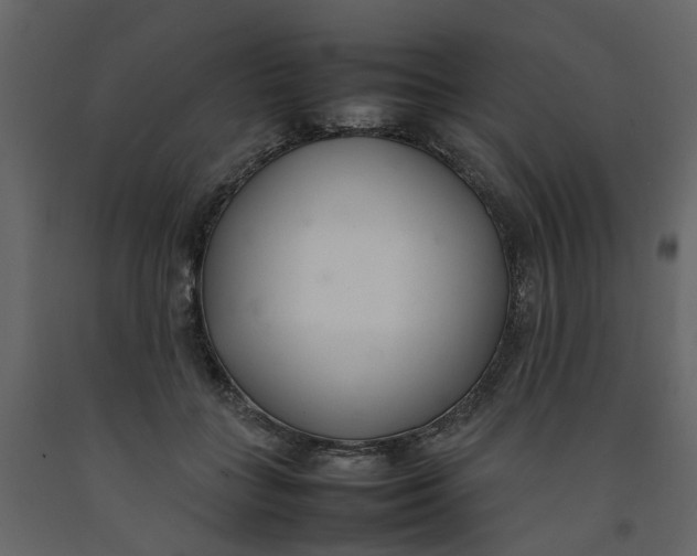 X0000092240555200710051241