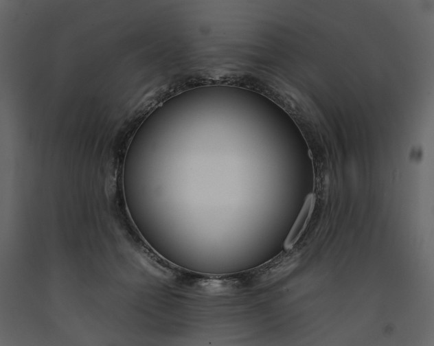 X0000092240558200710051241