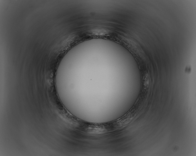 X0000092240559200710051241