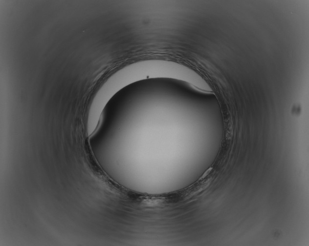 X0000092240560200710051241