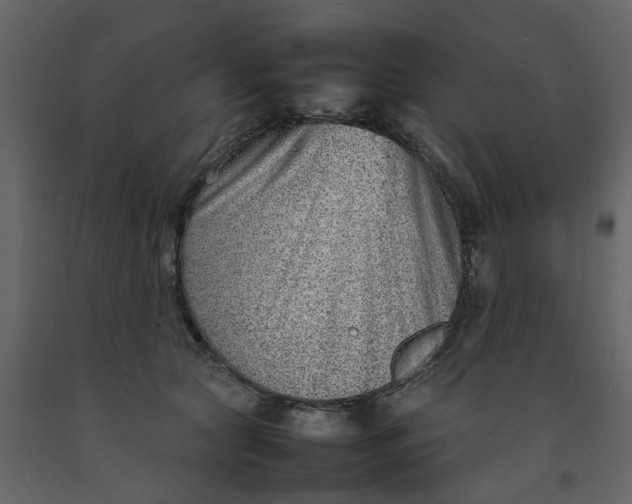 X0000092240561200710051241