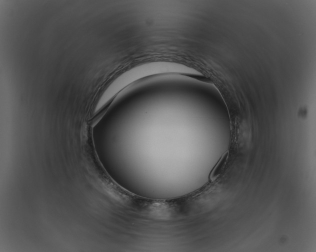 X0000092240562200710051241