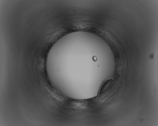 X0000092240563200710051241