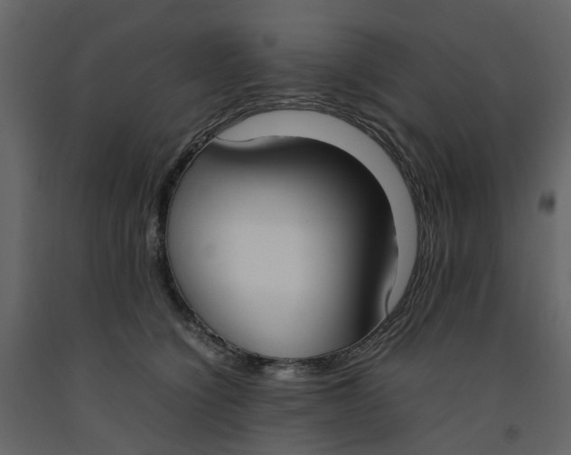 X0000092240564200710051241