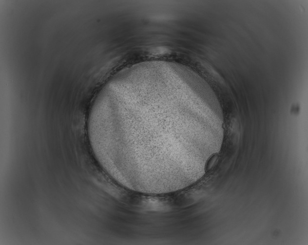 X0000092240565200710051241