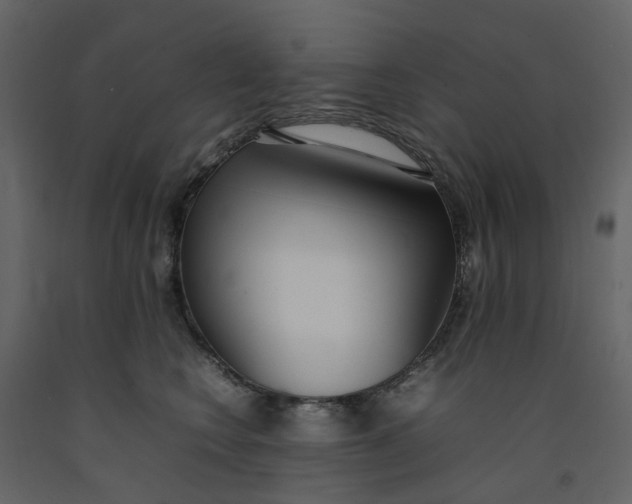 X0000092240566200710051241