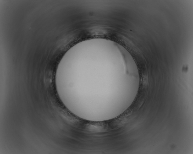 X0000092240567200710051241