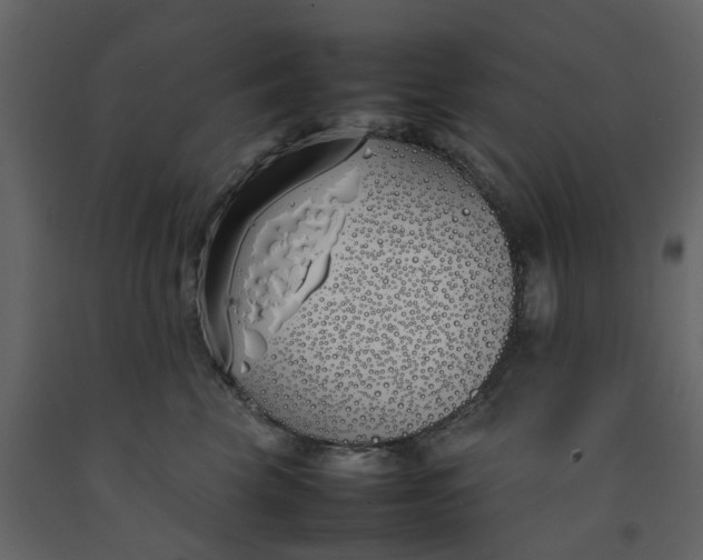 X0000092240569200710051241