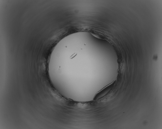 X0000092240570200710051241