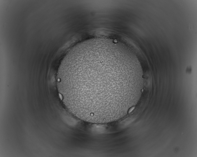 X0000092240573200710051241