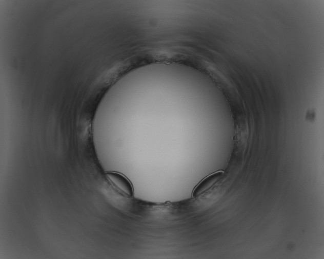 X0000092240574200710051241