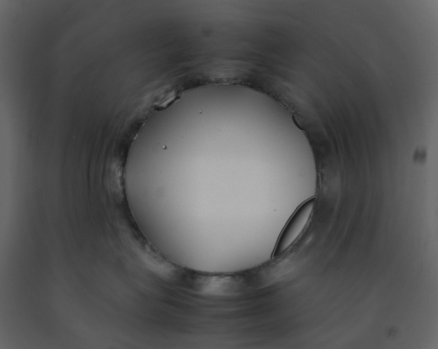 X0000092240575200710051241