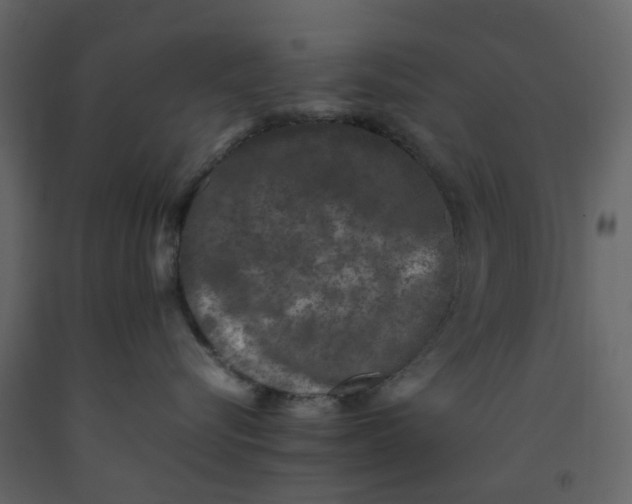 X0000092240576200710051241