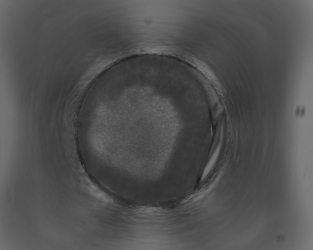 X0000092240577200710051240