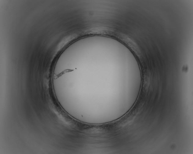 X0000092240578200710051240