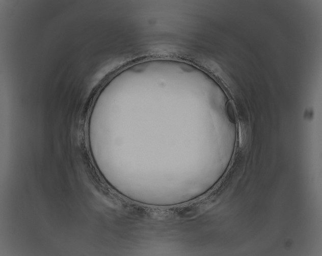 X0000092240579200710051240