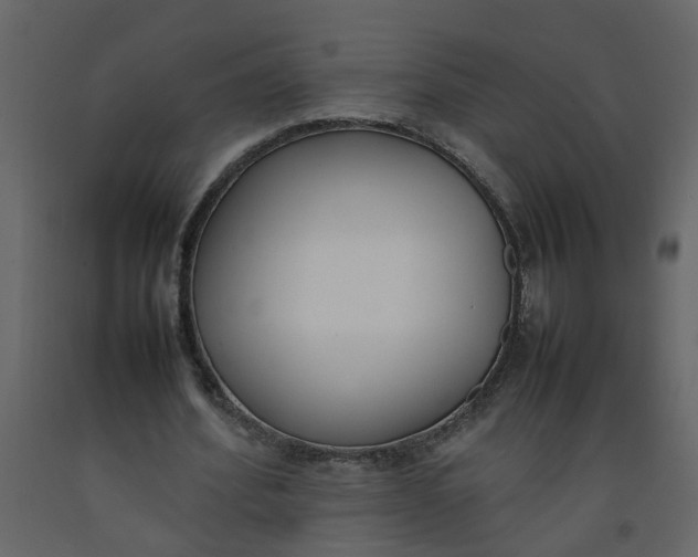 X0000092240580200710051240