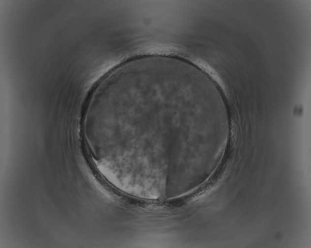 X0000092240581200710051240