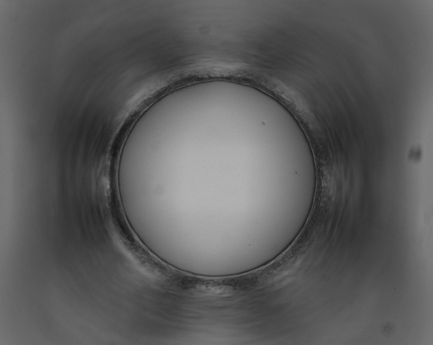 X0000092240582200710051240