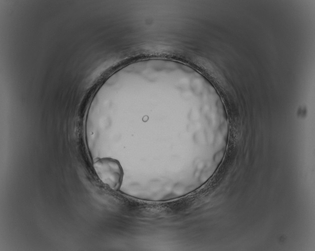 X0000092240583200710051240