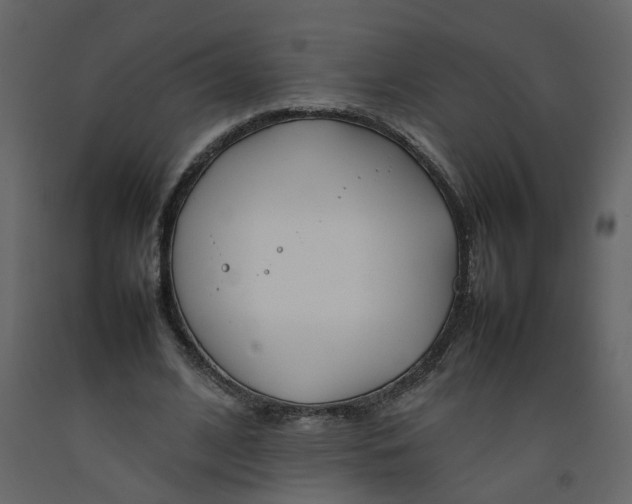 X0000092240584200710051240