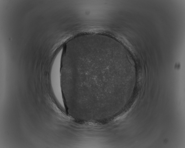 X0000092240585200710051240