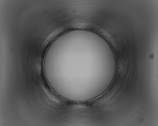 X0000092240586200710051240