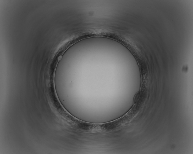 X0000092240587200710051240