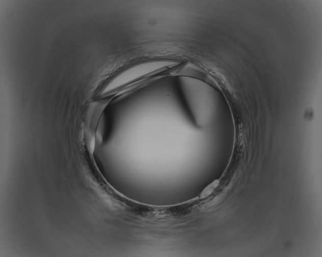 X0000092240589200710051240